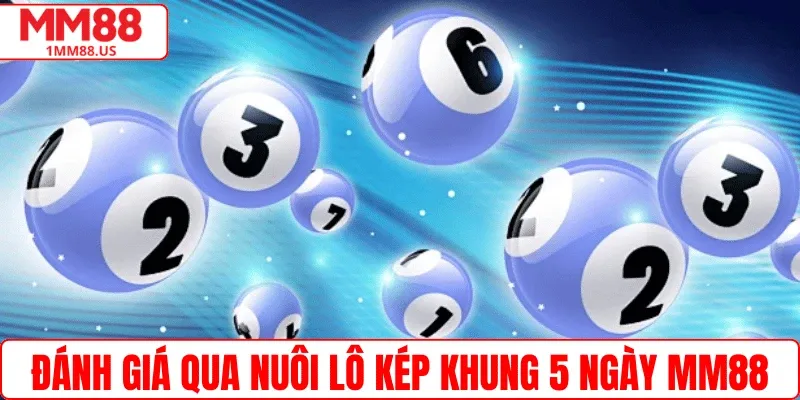 Đánh giá qua nuôi lô kép khung 5 ngày MM88