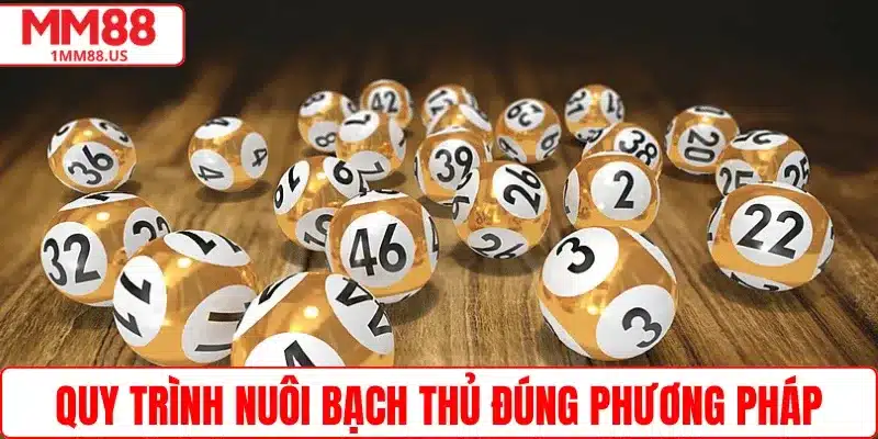 quy-trinh-nuoi-bach-thu-khung-2-ngay